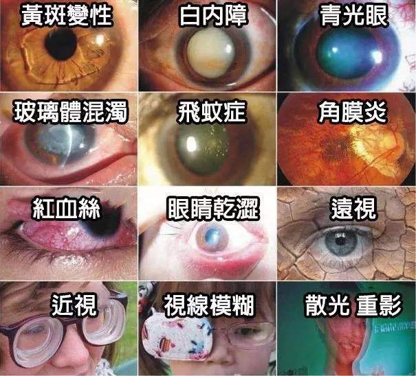 1758010102575457.jpg c6af624267f550f1abe4a7da6e40a6bc.jpg