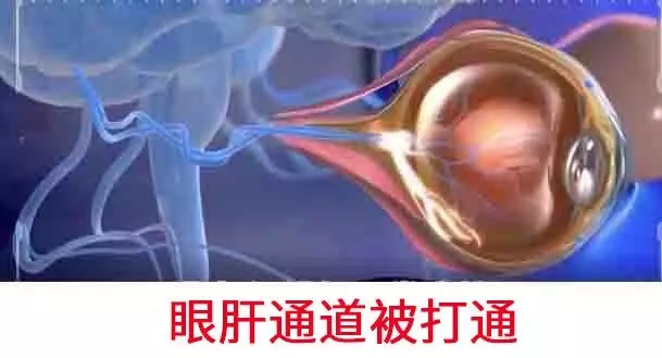 1758010141952870.jpg 43bc3aa9190b2cd2786f3ba5fd94d4a2.jpg